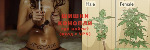ECSTASY Армянск