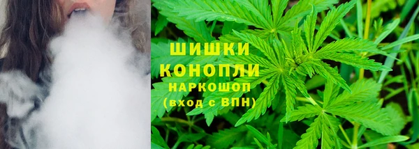 ECSTASY Армянск