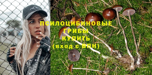 винт Балахна