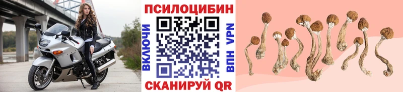 даркнет сайт Усолье Псилоцибиновые грибы прущие грибы